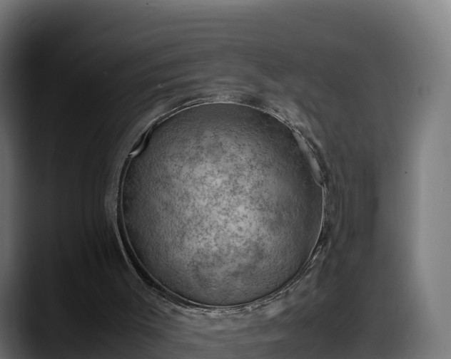 X0000088370003200705291337