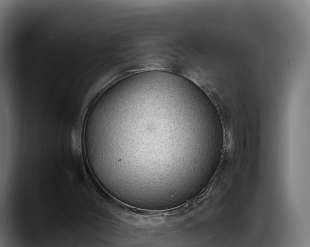 X0000088370004200705291337