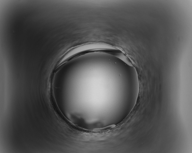 X0000088370005200705291337