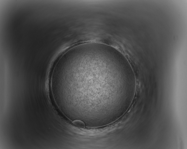 X0000088370006200705291337