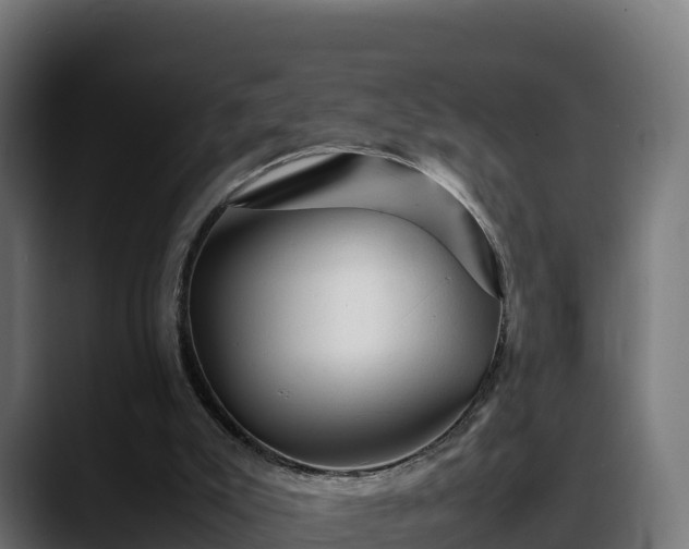 X0000088370007200705291337