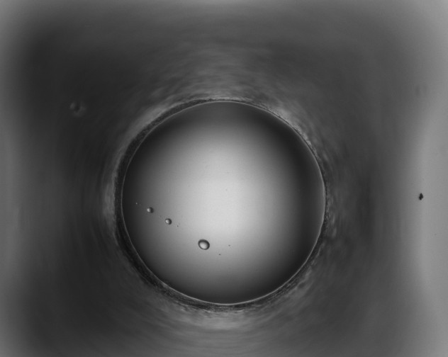 X0000088370008200705291337