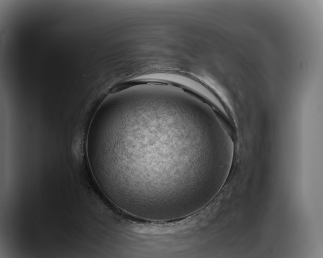 X0000088370009200705291337