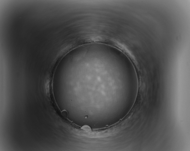 X0000088370010200705291337
