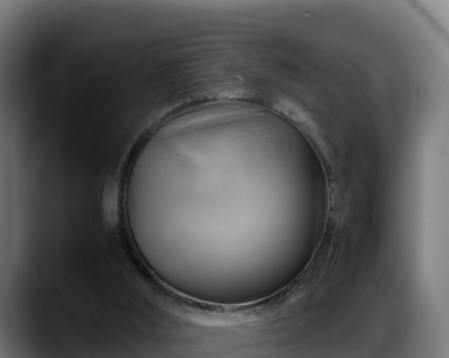 X0000088370012200705291337