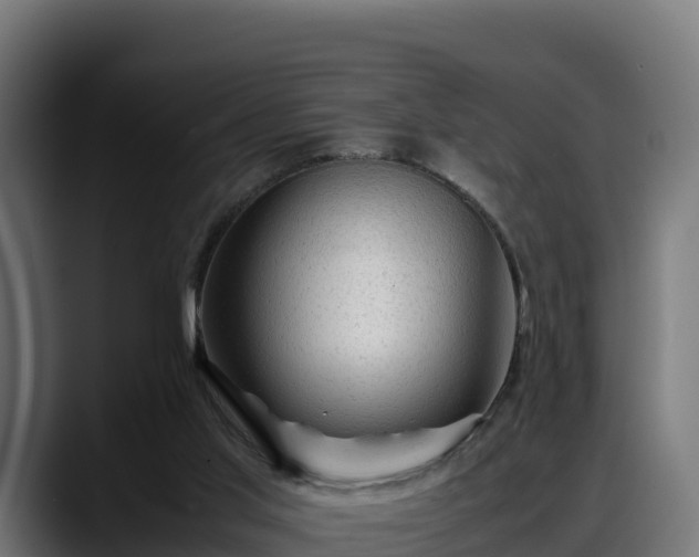 X0000088370013200705291337