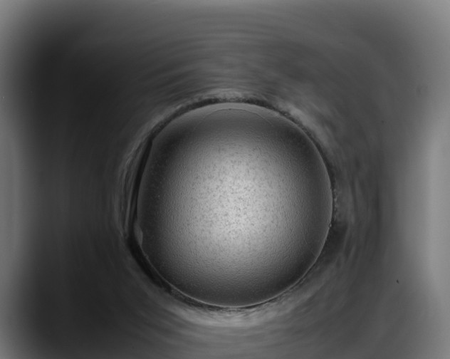 X0000088370015200705291337