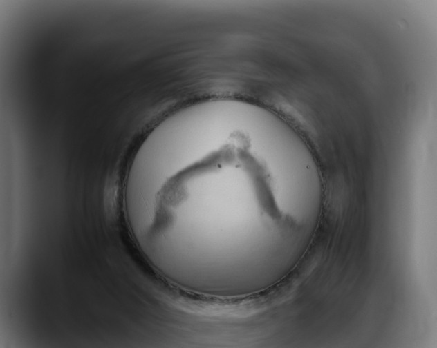 X0000088370016200705291337