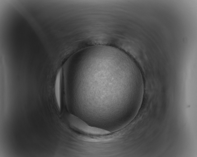 X0000088370017200705291337
