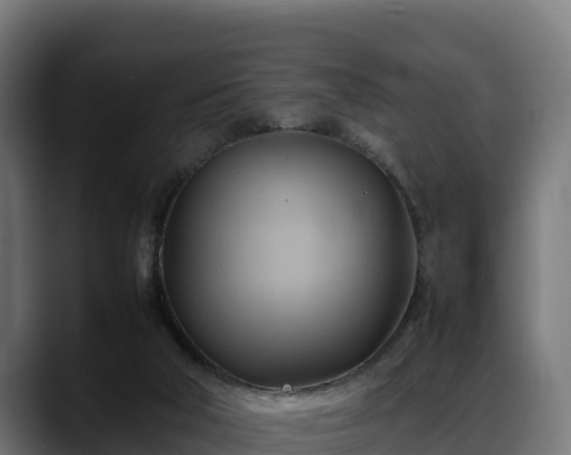 X0000088370018200705291337