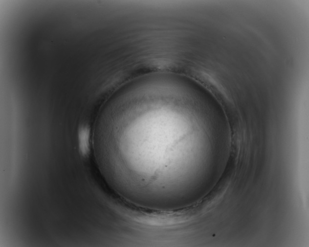 X0000088370024200705291337