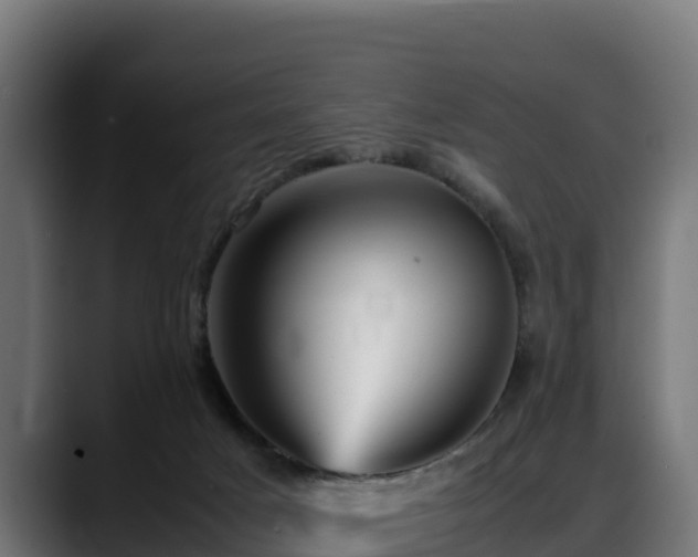 X0000088370025200705291337