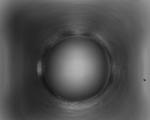 X0000088370026200705291337