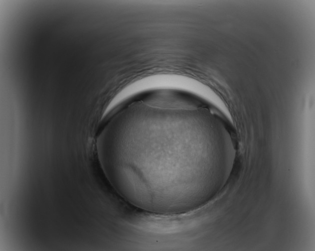 X0000088370029200705291336