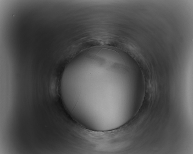 X0000088370030200705291336