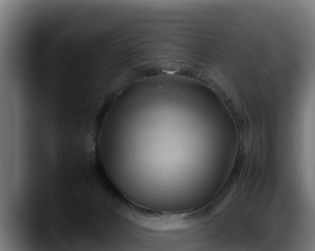 X0000088370032200705291336