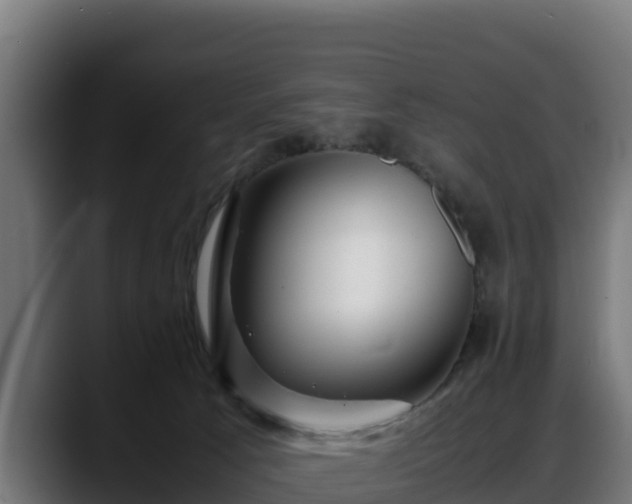 X0000088370033200705291336