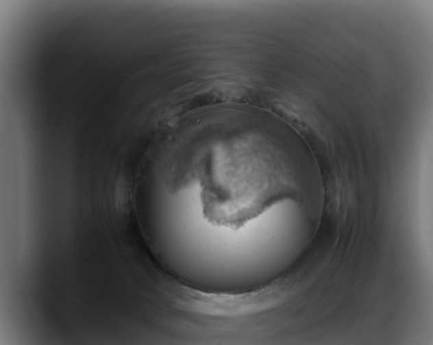 X0000088370034200705291336