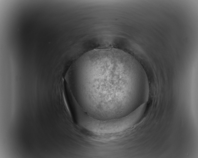 X0000088370037200705291336