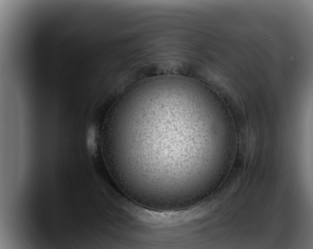 X0000088370038200705291336