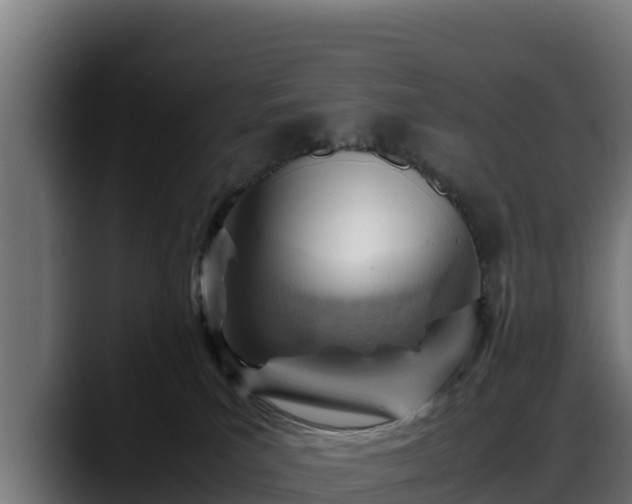 X0000088370039200705291336