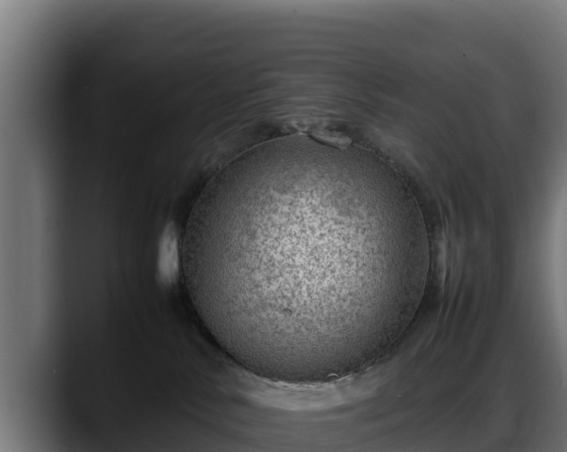 X0000088370042200705291336