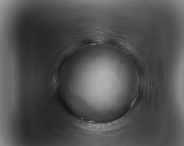 X0000088370043200705291336
