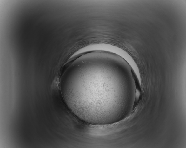 X0000088370045200705291336