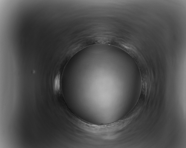 X0000088370046200705291336