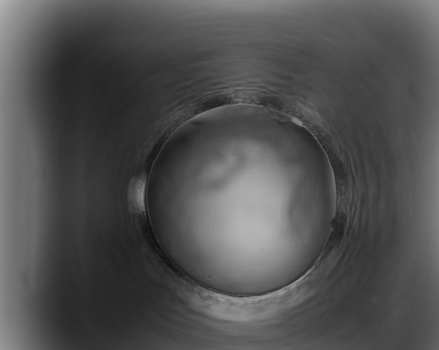 X0000088370047200705291336