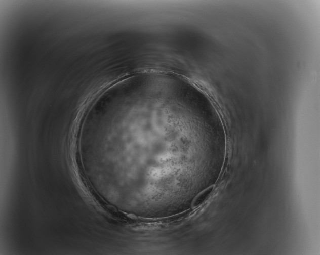 X0000088370049200705291336