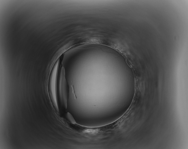 X0000088370051200705291336