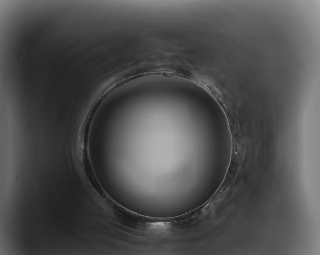 X0000088370053200705291336