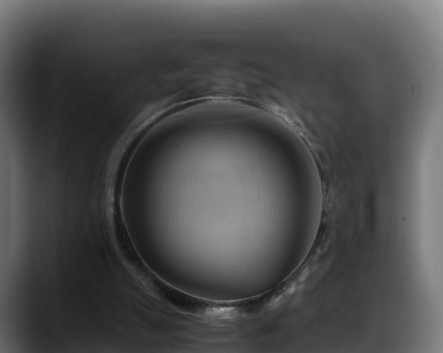 X0000088370055200705291336
