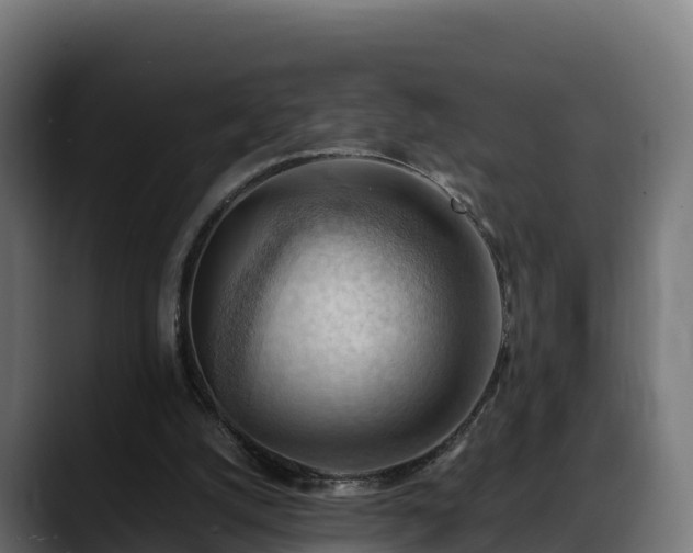 X0000088370056200705291336