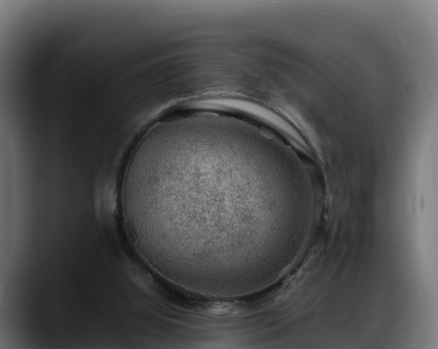X0000088370060200705291336