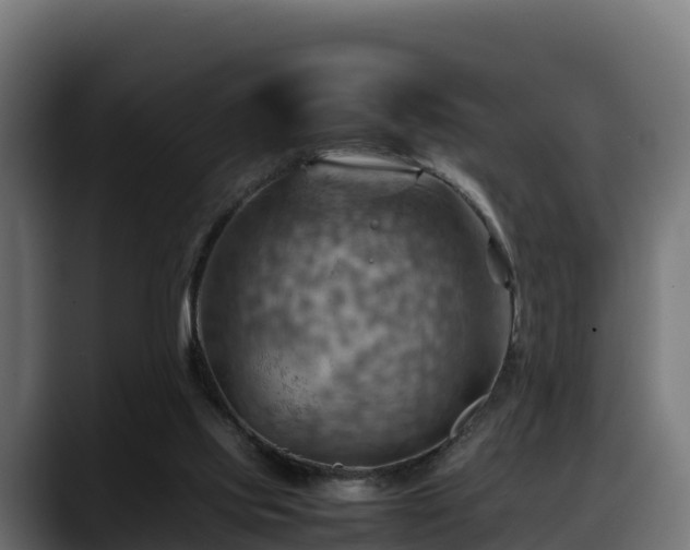 X0000088370061200705291336