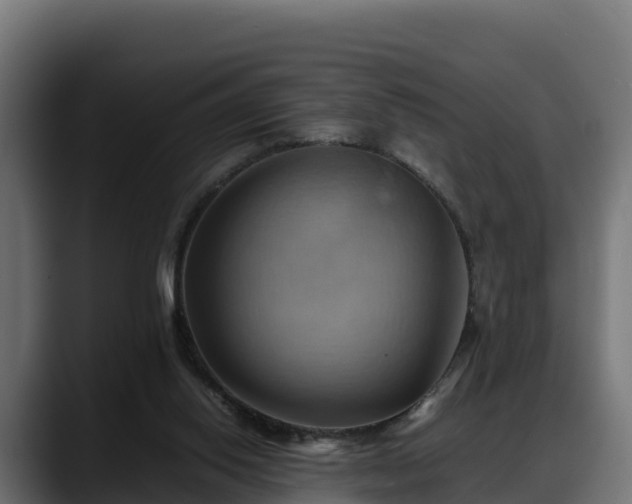 X0000088370062200705291336