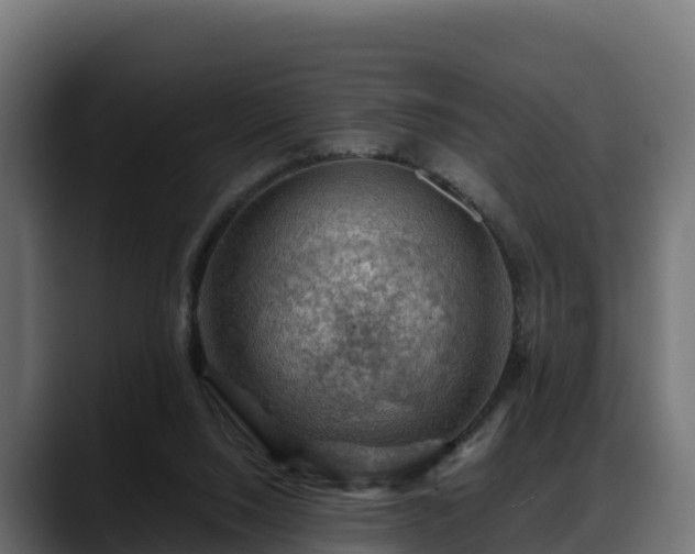 X0000088370064200705291336