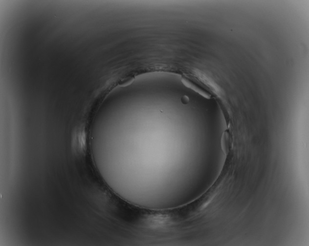 X0000088370067200705291336