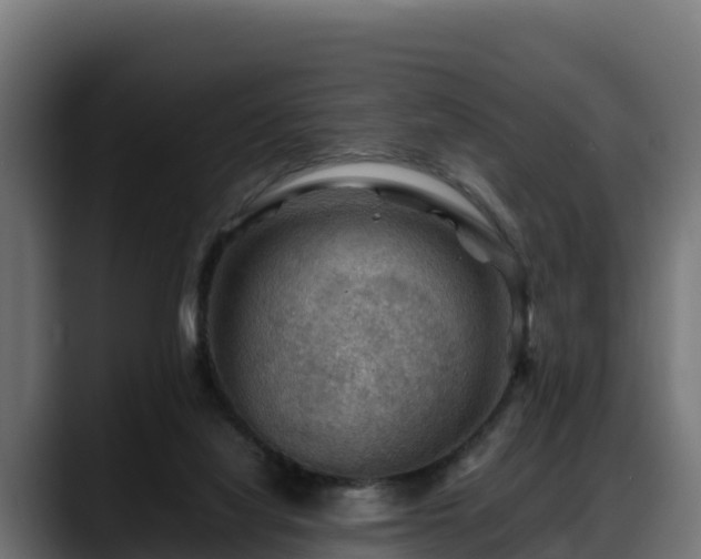 X0000088370068200705291336