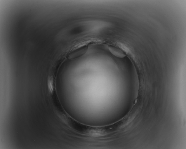 X0000088370069200705291336