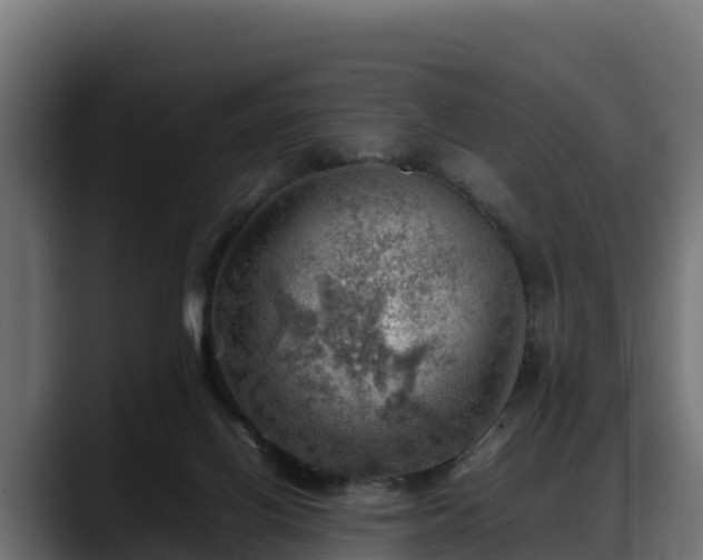 X0000088370070200705291336