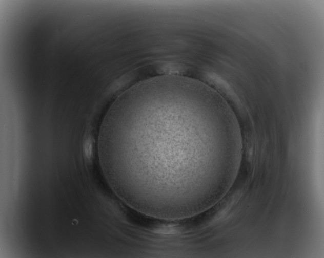 X0000088370071200705291336