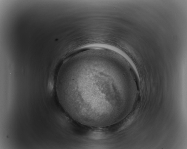 X0000088370072200705291336