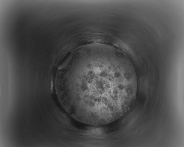 X0000088370073200705291336