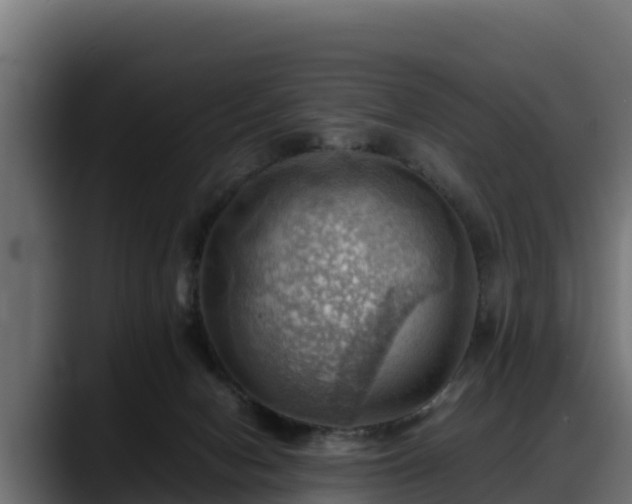 X0000088370078200705291336