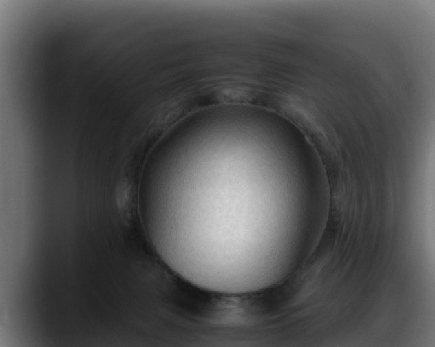 X0000088370079200705291336