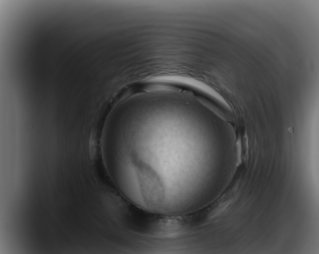 X0000088370080200705291336