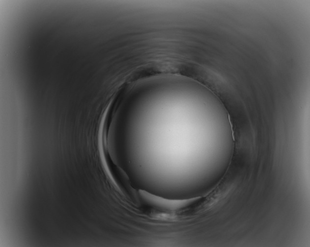 X0000088370084200705291336